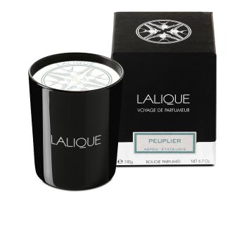 Peuplier, aspen - états-unis, bougie parfumée en 190 g - Lalique